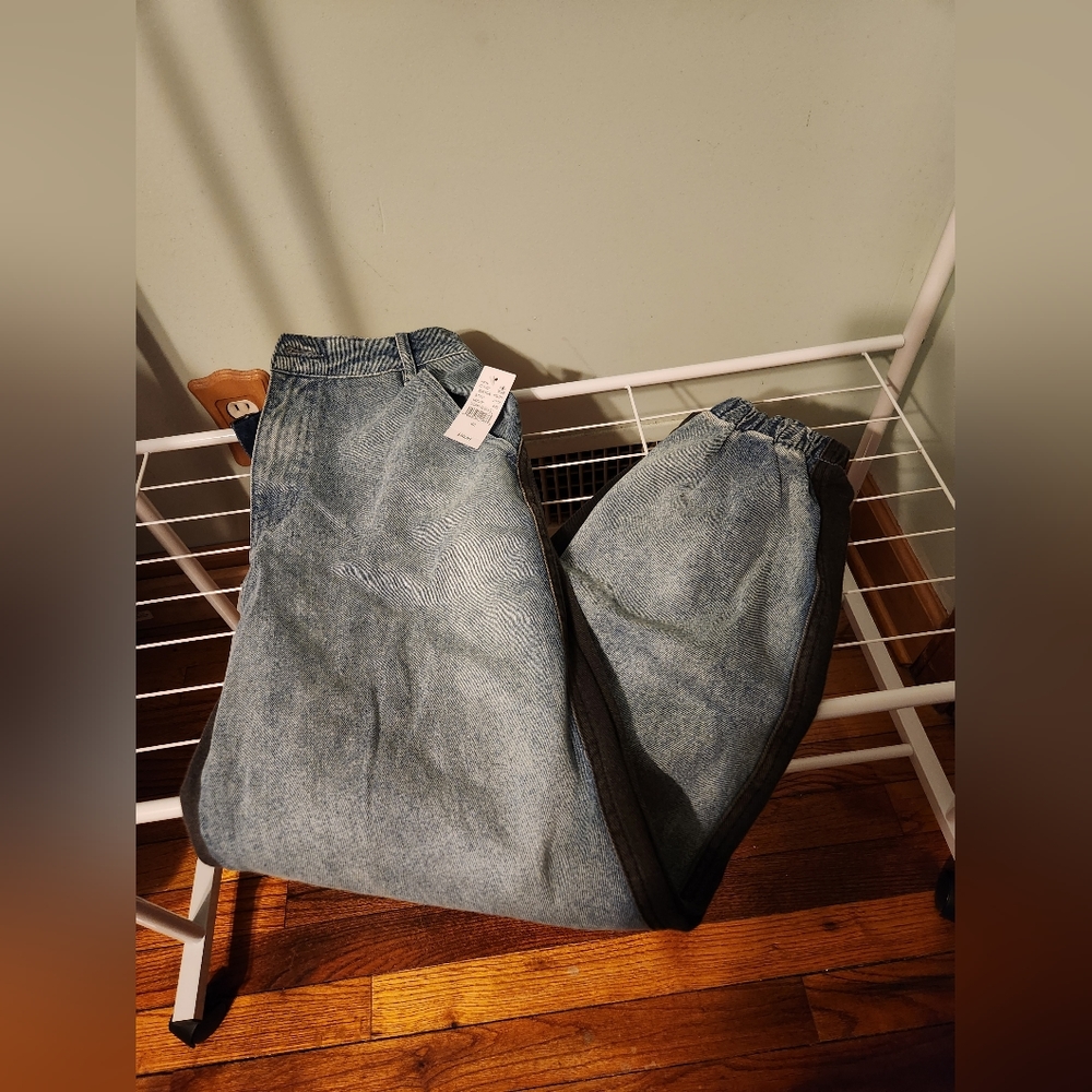 Pacsun Women's/Unisex 90s Jogger Jeans